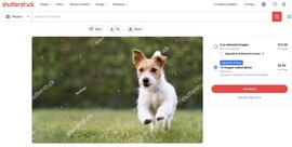 To zdjęcie jest powszechnie używanym obrazem stockowym (źródło obrazu: Photo Rumors)
