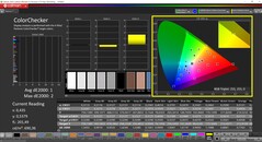 CalMAN ColorChecker (profil: P3, docelowa przestrzeń kolorów: P3)