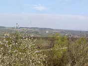 OnePlus 13 - 3-krotny zoom