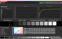 Skale szarości CalMAN (po kalibracji)