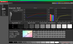 Skala szarości przed kalibracją