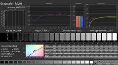 CalMAN: Skala szarości (skalibrowana)