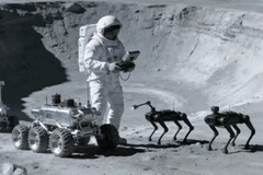 Chińscy inżynierowie uważają, że psy-roboty na Księżycu mogłyby pomagać astronautom.