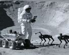 Chińscy inżynierowie uważają, że psy-roboty na Księżycu mogłyby pomagać astronautom.