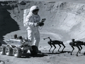 Chińscy inżynierowie uważają, że psy-roboty na Księżycu mogłyby pomagać astronautom.