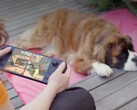Wielu graczy nadal preferuje Steam Deck pomimo słabszego sprzętu.