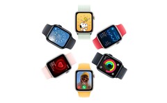 Następny Apple Watch SE może być momentem Apple Watch dla iPhone'a 5c. (Źródło obrazu: Apple)