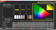 CalMAN ColorChecker skalibrowany (docelowa przestrzeń kolorów: P3)