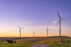 Farma wiatrowa Smokey Hills należąca do Enel. Zdjęcie referencyjne. (Źródło zdjęcia: Enel)