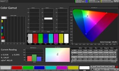 Gama kolorów CalMAN