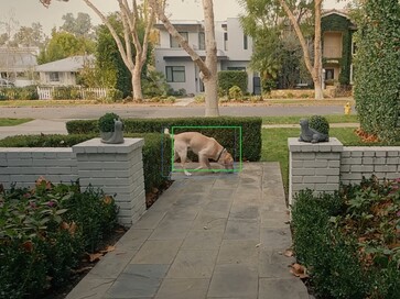 Nowa funkcja może wykorzystywać sztuczną inteligencję do śledzenia i lokalizowania zwierząt domowych w okolicy