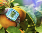 Zegarek Timex 80 36 mm (na zdjęciu) z rozszerzanym paskiem ze stali nierdzewnej. (Źródło zdjęcia: Timex)