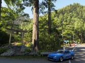 Zrzut ekranu przedstawiający renderowanie japońskiego punktu orientacyjnego w Forza Horizon 6