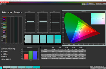 Nasycenie koloru (tryb ekranu: naturalny, docelowa przestrzeń kolorów: sRGB)