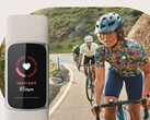 Funkcja Fitbit Unusual trends wykorzystuje dane takie jak tętno i częstość oddechów. (Źródło obrazu: Fitbit)