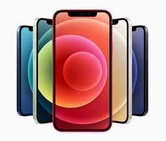 Stwierdzono, że iPhone 12 emituje więcej promieniowania niż powinien po umieszczeniu w kieszeni. (Źródło obrazu: Apple)