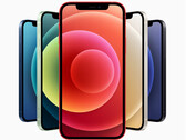 Stwierdzono, że iPhone 12 emituje więcej promieniowania niż powinien po umieszczeniu w kieszeni. (Źródło obrazu: Apple)