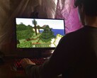 Zdjęcie przedstawia osobę grającą w grę Minecraft na komputerze PC.
