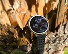 Smartwatch Amazfit Active 2