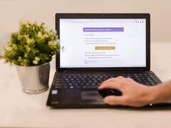 Laptop na biurku z otwartą skrzynką odbiorczą poczty elektronicznej, obok którego stoi roślina doniczkowa.