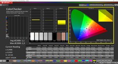 CalMAN ColorChecker (profil: P3, docelowa przestrzeń kolorów: P3)