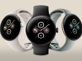 Pixel Watch 2 w trzech z czterech kombinacji kolorystycznych. (Źródło zdjęcia: @evleaks)