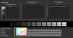 Calman ColorChecker: Tryb wyświetlania DisplayP3 - skala szarości