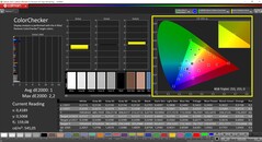 CalMAN ColorChecker (profil: sRGB, docelowa przestrzeń barw sRGB)