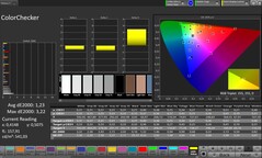 ColorChecker (Profil: Profesjonalny, Docelowa przestrzeń kolorów: sRGB)
