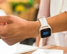 Mówi się, że nowe usługi płatności zbliżeniowych zostaną wprowadzone do smartwatchów Garmin. (Źródło zdjęcia: Garmin)