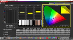 CalMAN ColorChecker (profil: Display P3, docelowa przestrzeń kolorów: P3)