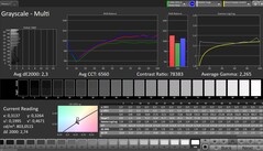 Skala szarości (profil: Profesjonalny, docelowa przestrzeń kolorów: sRGB)