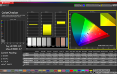 CalMAN ColorChecker (P3)