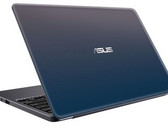 Asus VivoBook E12 E203NA