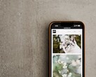 Smartfon na szarej powierzchni z galerią zdjęć kotów i kwiatów na ekranie
