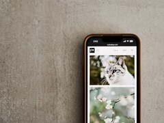 Smartfon na szarej powierzchni z galerią zdjęć kotów i kwiatów na ekranie