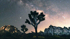 Starlink twierdzi, że jego sygnał satelitarny nie będzie zakłócany (zdjęcie: SpaceX)