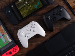 8BitDo radzi użytkownikom zaktualizować oprogramowanie sprzętowe kompatybilnego kontrolera przed podłączeniem go do Nintendo Switch 2. (Źródło obrazu: 8BitDo)