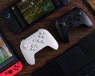 8BitDo radzi użytkownikom zaktualizować oprogramowanie sprzętowe kompatybilnego kontrolera przed podłączeniem go do Nintendo Switch 2. (Źródło obrazu: 8BitDo)