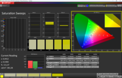 Kalibracja nasycenia CalMAN