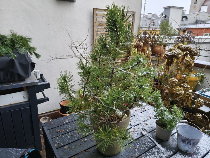 Zdjęcie głównym aparatem