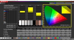 CalMAN ColorChecker (profil: Native, docelowa przestrzeń barw P3)