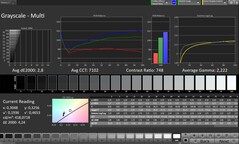 Skala szarości CalMAN