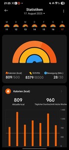 Xiaomi Smart Band 10 Aktywność