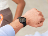 Pixel Watch 2 LTE jest jak dotąd jedyną jednostką SKU Pixel Watch, która otrzymała aktualizację w tym miesiącu. (Źródło obrazu: Google)