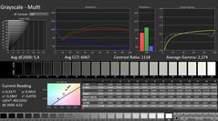 CalMAN: Skala szarości