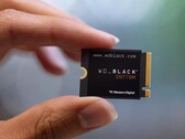 Tylko 3 cm długości (źródło zdjęcia: WD)