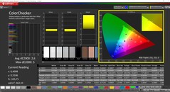 CalMAN ColorChecker (profil rozszerzony)