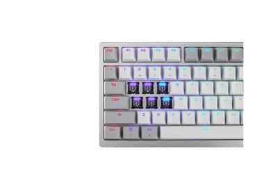 Posiada również oświetlenie RGB skierowane na północ. (Źródło obrazu: Asus)