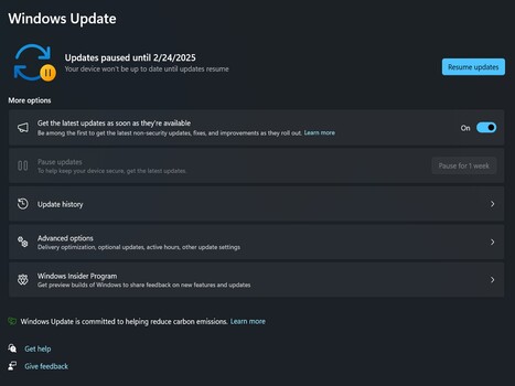 Windows Update 24H2 wstrzymany (Źródło obrazu: zrzut ekranu)